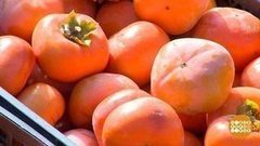 Хурма — царица осени! Доброе утро. Фрагмент выпуска от 20.10.2017