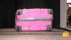 Черепахи в чемодане и другая контрабанда. Доброе утро. Фрагмент выпуска от 25.10.2017