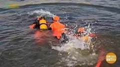 В мире. Спасли кита. Доброе утро. Фрагмент выпуска от 01.11.2017