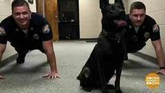 В мире. Физзарядка с псом. Доброе утро. Фрагмент выпуска от 12.12.2017