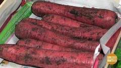 В песке, в газете, в сетке. Доброе утро. Фрагмент выпуска от 14.12.2017