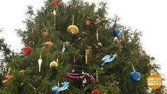 Как наряжали главную елку. Доброе утро. Фрагмент выпуска от 22.12.2017