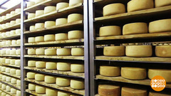 В мире. День международного признания Хорватии. Доброе утро. Фрагмент от 15.01.2018