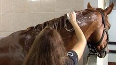 «Лошадиные» шампуни. Доброе утро. Фрагмент выпуска от 11.08.2015