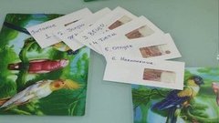 Правило семи конвертов. Доброе утро. Фрагмент выпуска от 06.10.2015