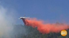 В мире. Лесные пожары. Доброе утро. Фрагмент выпуска от 31.08.2018