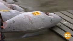 В мире. Новый рыбный рынок. Доброе утро. Фрагмент выпуска от 27.09.2018