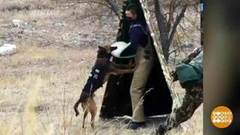 В мире. Соревнования полицейских собак. Доброе утро. Фрагмент выпуска от 16.11.2018