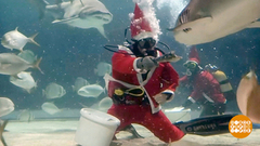 В мире. Угощение к празднику. Доброе утро. Фрагмент выпуска от 17.12.2018