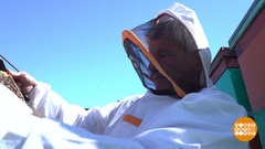 Правильные пчелы и их правильный мед.Доброе утро. Фрагмент выпуска от 30.04.2019