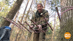 Лесной гамак. Доброе утро. Фрагмент выпуска от 17.05.2019