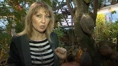 Хочу знать. Выпуск от 14.02.2013