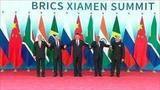 Лидеры стран БРИКС на саммите в Китае обозначили курс на снижение зависимости от доллара