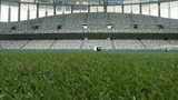Специалисты ФИФА остались довольны состоянием газона на стадионе «Нижний Новгород»