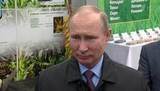 Владимир Путин принял участие в работе Всероссийского агропромышленного форума