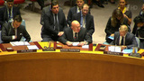 Россия добилась созыва Совета Безопасности ООН для обсуждения ситуации в сирийском Идлибе