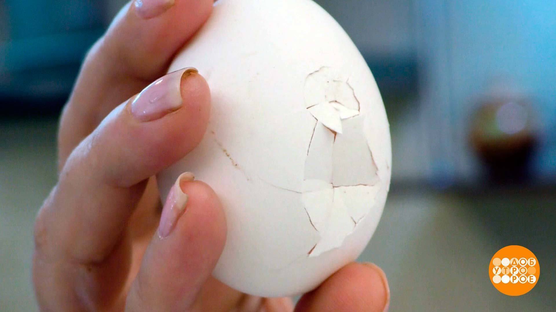 Яйцо трещина. Яйцо с трещиной. Яйцо с треснутой скорлупой. Яйцо с трещинами на скорлупе. Яйцр с потресканой скорлупой.