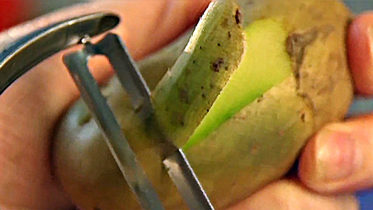 Теория заговора. Овощи и фрукты. Кадр из документального цикла