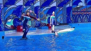 Алла Михеева и Максим Маринин. Парный проезд. Выступление. Вместе с дельфинами. Фрагмент выпуска от 17.10.2015
