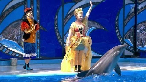 Лариса Долина. Выступление. Вместе с дельфинами. Фрагмент выпуска от 03.10.2015