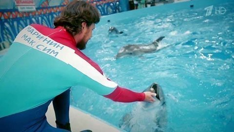 Максим Маринин. Профайл. Вместе с дельфинами. Фрагмент выпуска от 03.10.2015