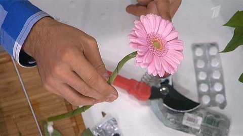 Свежий букет к 8 марта. Дешево и сердито. Фрагмент выпуска от 07.03.2013