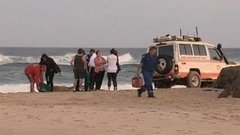 В мире. Атаки акул. Доброе утро. Фрагмент выпуска от 17.09.2015