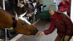 Каждый твари — по сколько? Доброе утро. Фрагмент выпуска от 08.04.2016