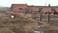 Гектар земли бесплатно. Доброе утро. Фрагмент выпуска от 12.04.2016