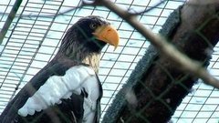 Весна — пора любви. Доброе утро. Фрагмент выпуска от 22.04.2016