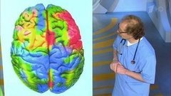 «Синдром утки»: как распознать нервное истощение. Жить здорово! Фрагмент выпуска от 18.05.2016