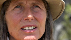 «Дети Третьего рейха. Фильм третий». Документальный фильм