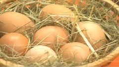 Яйца отборной категории. Контрольная закупка. Выпуск от 02.05.2013