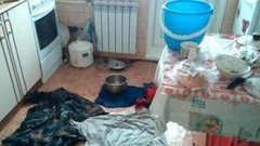 Квартира в отпуске. Доброе утро. Фрагмент выпуска от 14.06.2016