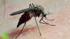 Меня укусили! Доброе утро. Фрагмент выпуска от 07.07.2016