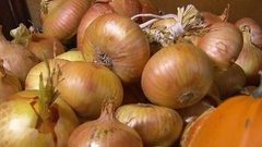 Счастье луковое. Доброе утро. Фрагмент выпуска от 31.10.2016