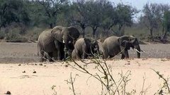 В мире. Национальный праздник Ботсваны. Доброе утро. Фрагмент выпуска от 15.07.2015