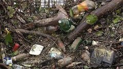 Реки тоже надо чистить. Доброе утро. Фрагмент выпуска от 14.07.2015