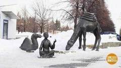 Челябинский верблюд и другие. Доброе утро. Фрагмент выпуска от 21.02.2017