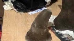 В мире. Носорожьи рога. Доброе утро. Фрагмент выпуска от 28.04.2015