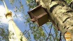 Вятское: живой музей. Доброе утро. Фрагмент выпуска от 27.06.2017