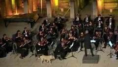 Звездой выступления Венского камерного оркестра в Эфесе стала собака. Хиты интернета