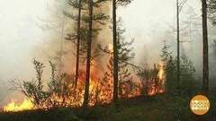 Леса горят. Доброе утро. Фрагмент выпуска от 13.07.2017