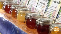 Мед созрел? Доброе утро. Фрагмент выпуска от 14.08.2017