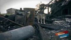 Дело было в Санках. Мужское / Женское. Выпуск от 21.08.2017