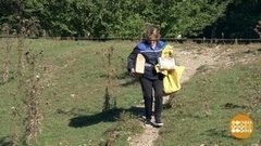 Почта придет! Доброе утро. Фрагмент выпуска от 09.10.2017