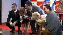 Встреча Года Овцы. Крупный пожар. Бегемот на дороге. Ледяные заплывы. Распространение Эболы. Доброе утро. Фрагмент выпуска от 20.01.2015