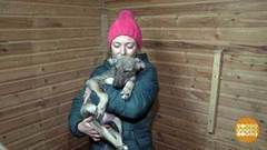 Кто кого выбирает? Доброе утро. Фрагмент выпуска от 28.11.2017