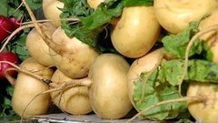 Проще пареной репы. Доброе утро. Фрагмент выпуска от 11.09.2015