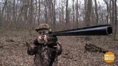 Придет серенький волчок? Доброе утро. Фрагмент выпуска от 21.12.2017